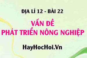 Vấn đề phát triển nông nghiệp: Ngành trồng trọt và Ngành chăn nuôi - Địa lí 12 bài 22